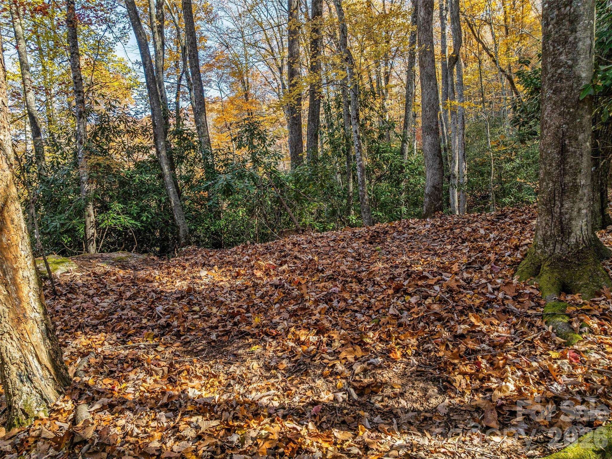 241 Skye Drive Pisgah Forest NC 28768