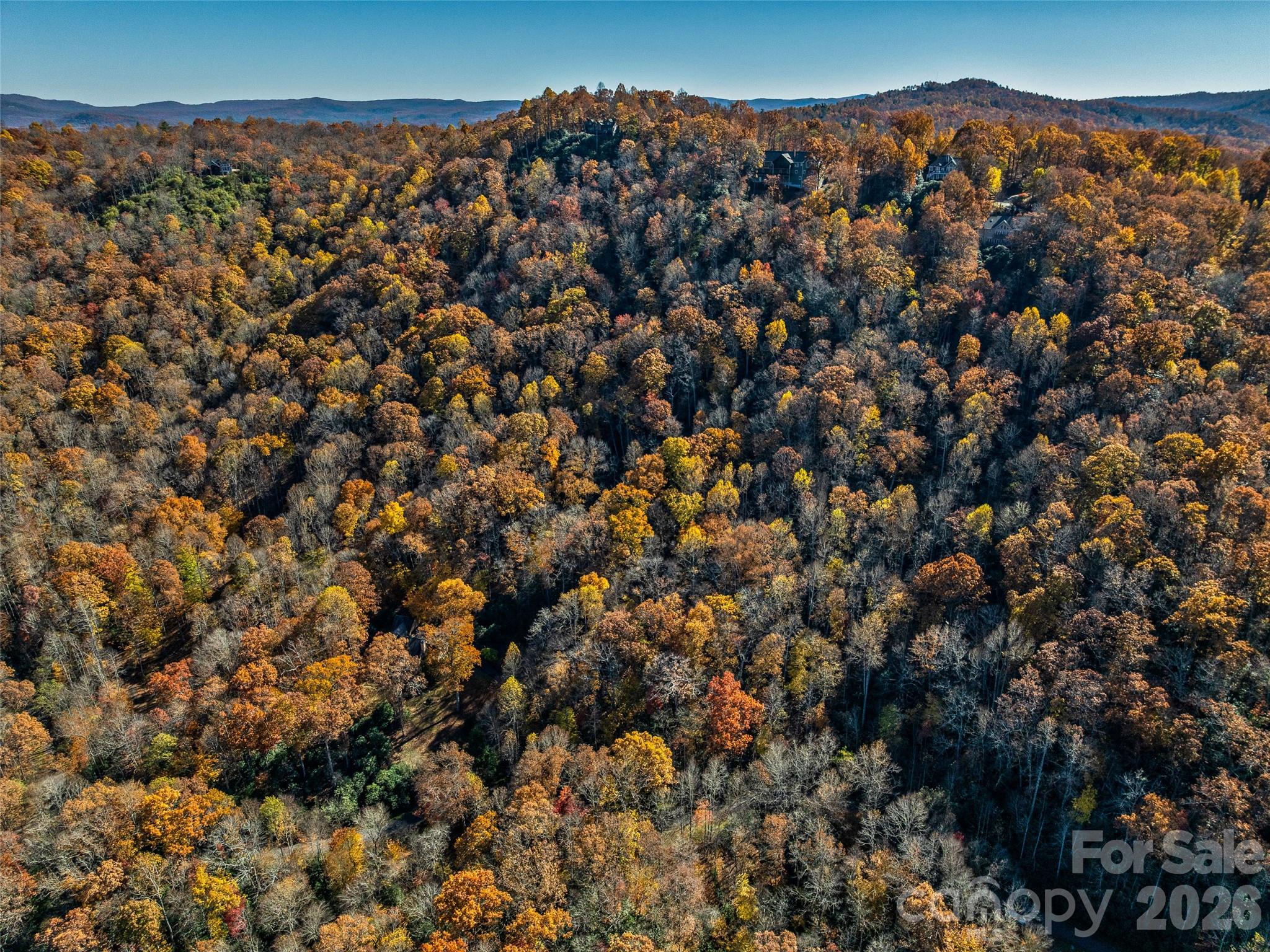 241 Skye Drive Pisgah Forest NC 28768