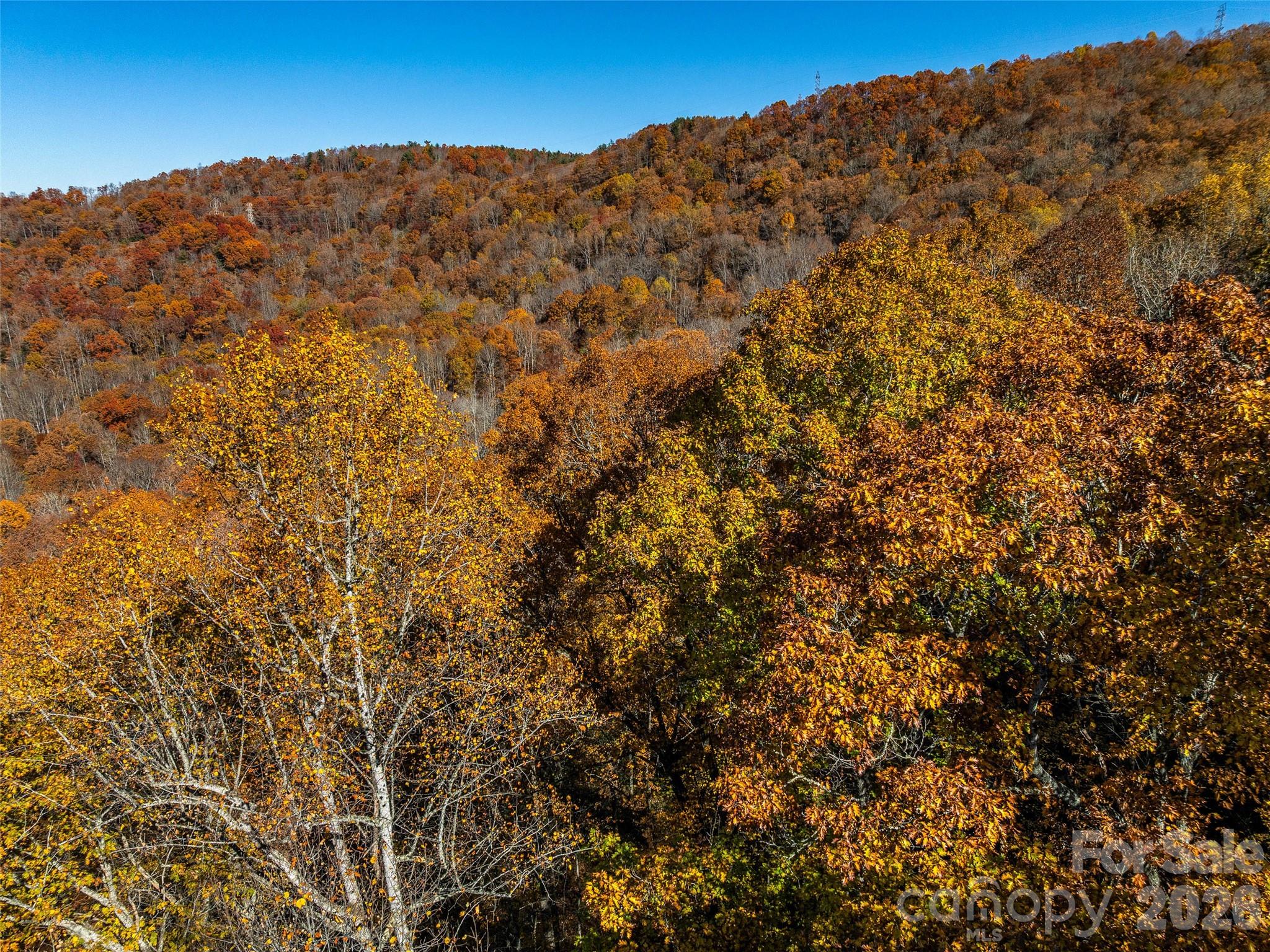241 Skye Drive Pisgah Forest NC 28768