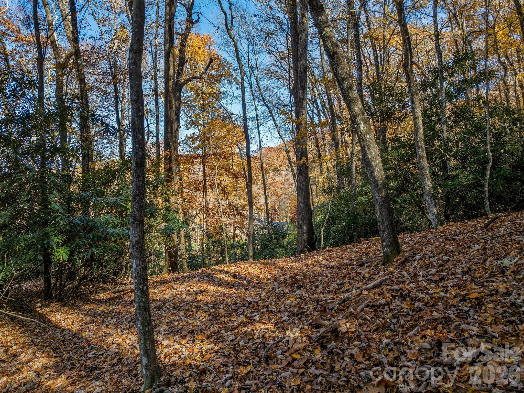 241 Skye Drive Pisgah Forest NC 28768