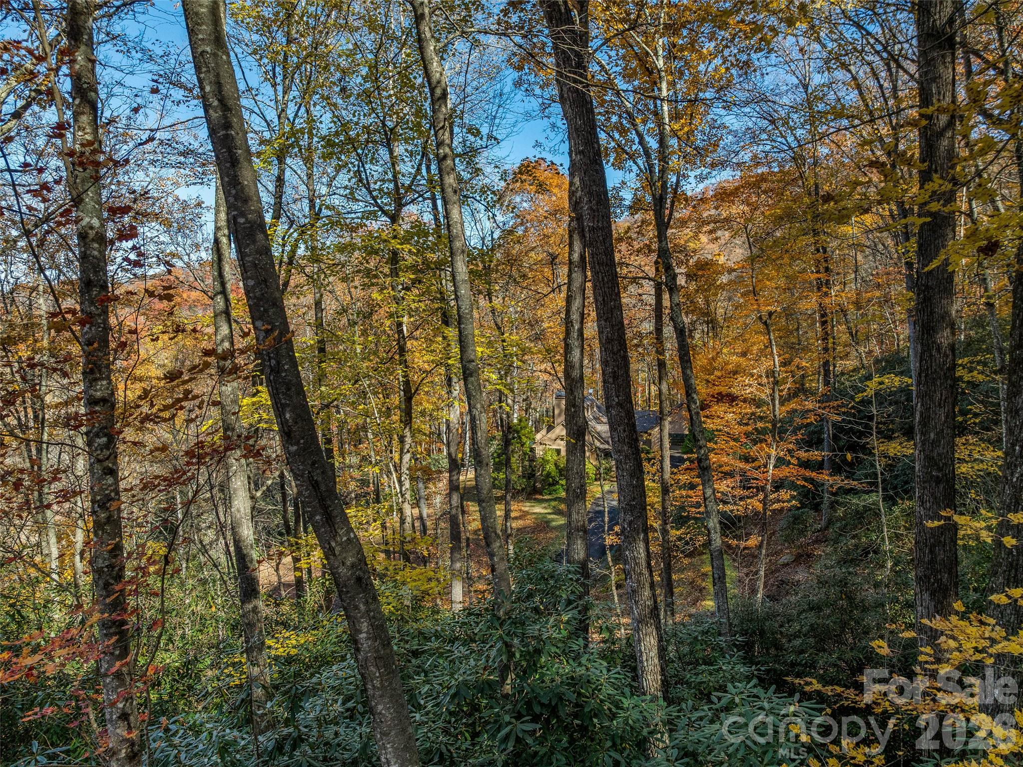 241 Skye Drive Pisgah Forest NC 28768
