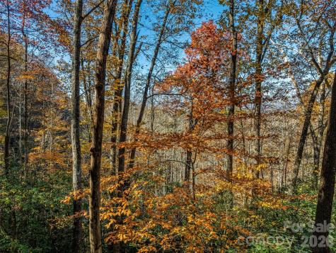 241 Skye Drive Pisgah Forest NC 28768