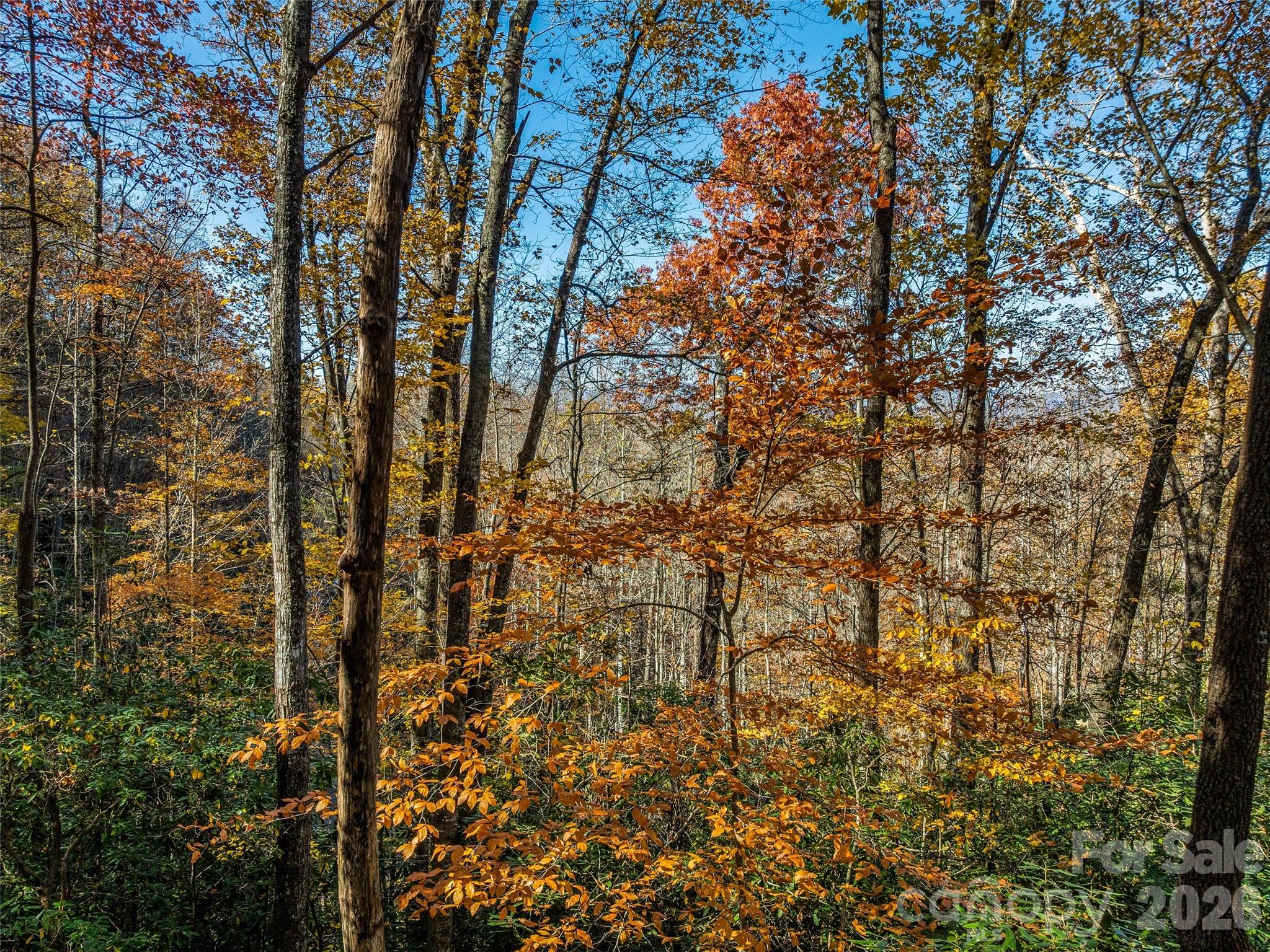 241 Skye Drive Pisgah Forest NC 28768