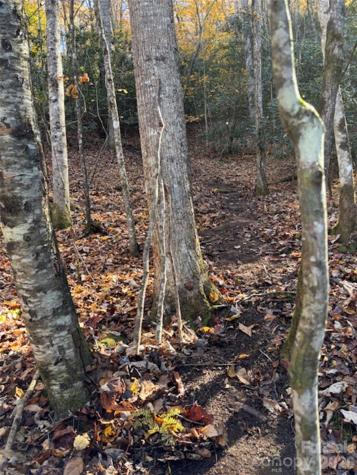 241 Skye Drive Pisgah Forest NC 28768