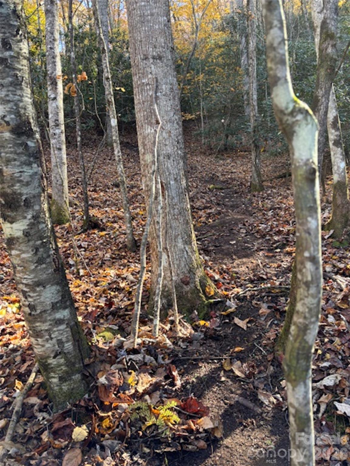 241 Skye Drive Pisgah Forest NC 28768