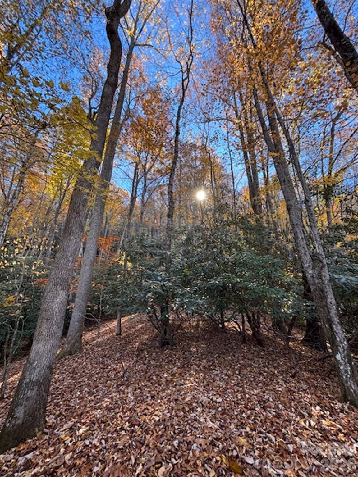 241 Skye Drive Pisgah Forest NC 28768
