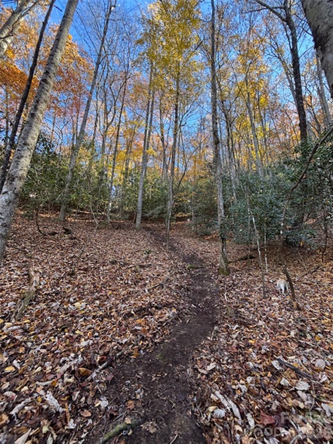 241 Skye Drive Pisgah Forest NC 28768