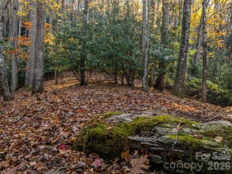 241 Skye Drive Pisgah Forest NC 28768