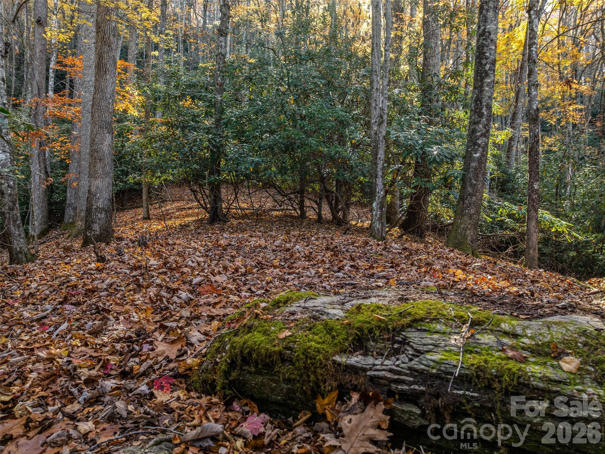 241 Skye Drive Pisgah Forest NC 28768