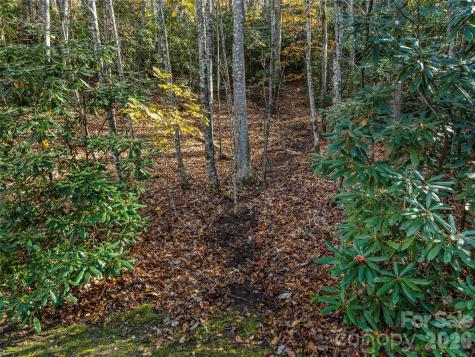 241 Skye Drive Pisgah Forest NC 28768