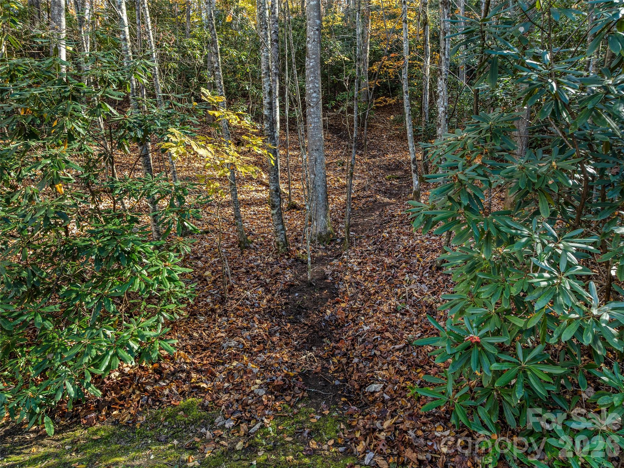 241 Skye Drive Pisgah Forest NC 28768