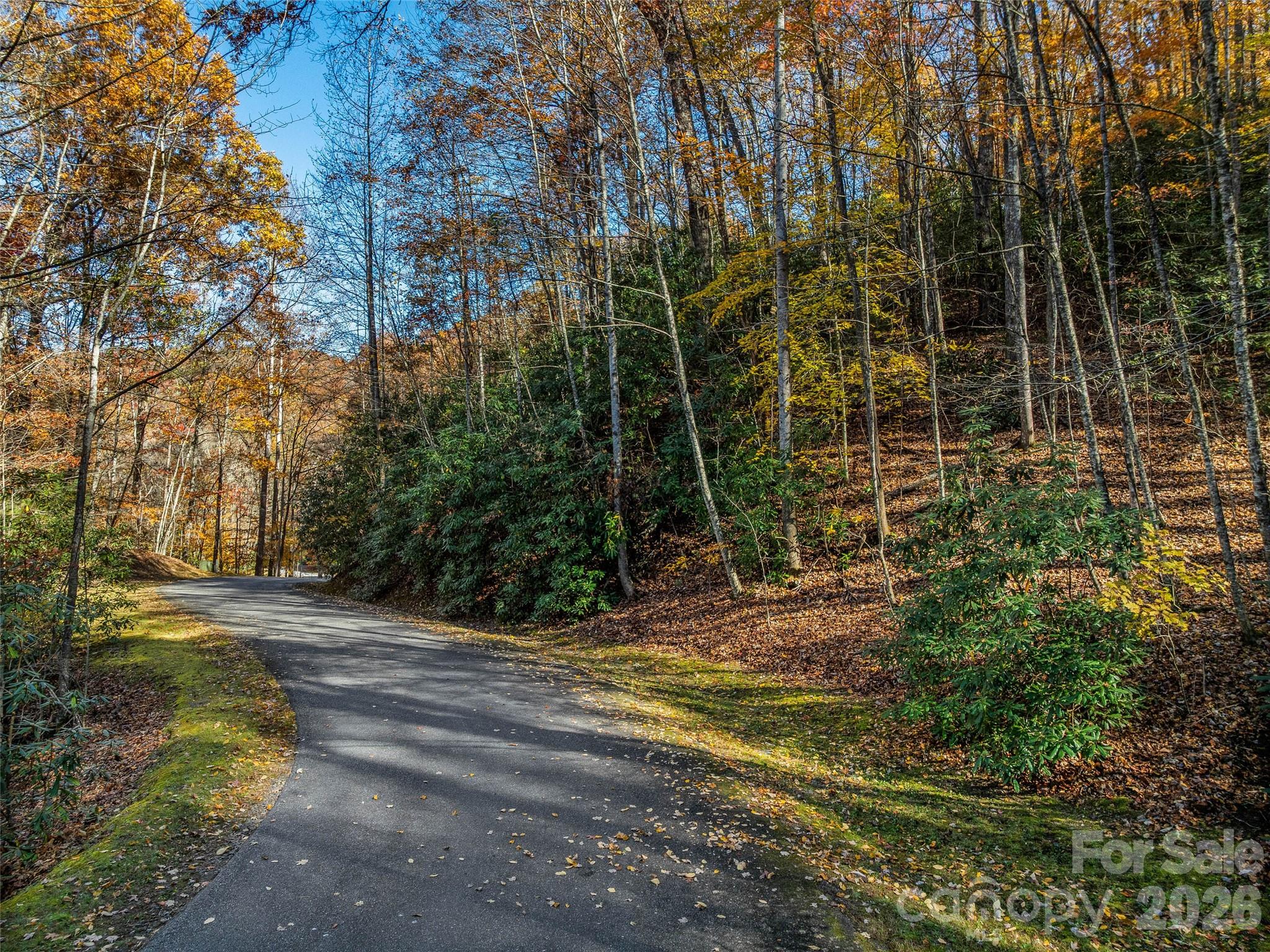 241 Skye Drive Pisgah Forest NC 28768