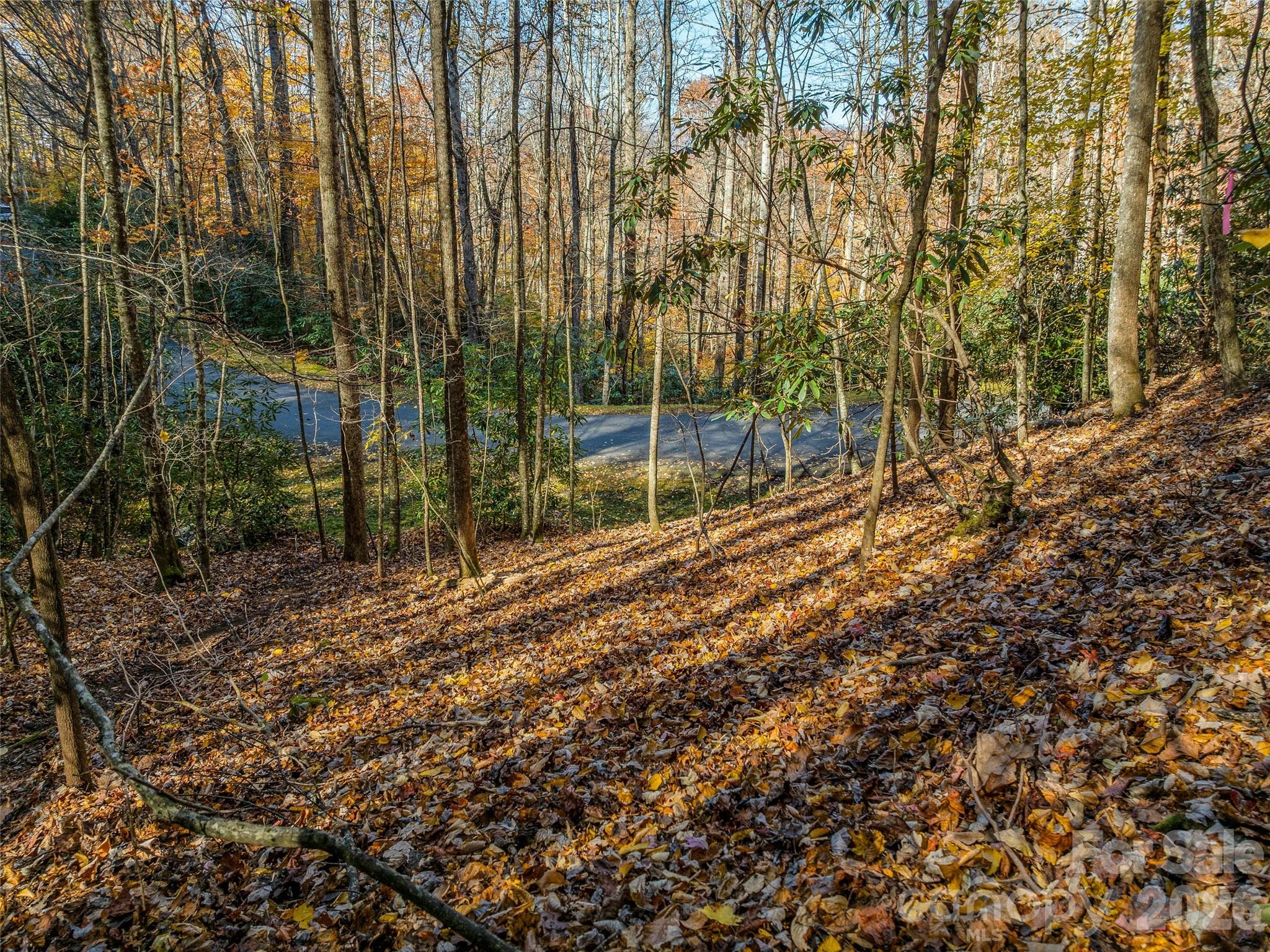 241 Skye Drive Pisgah Forest NC 28768