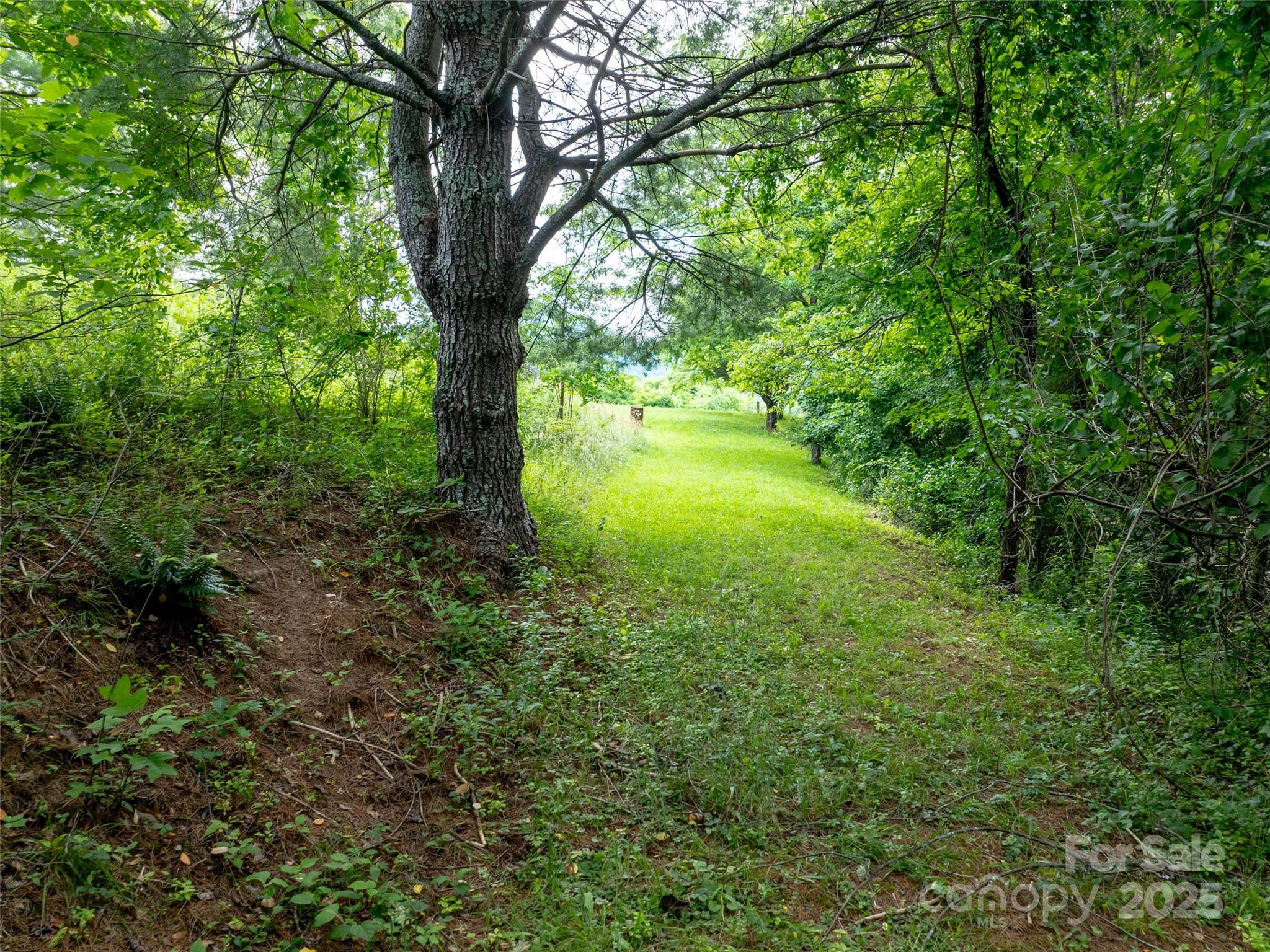 40 Sedgefield Place Clyde NC 28721