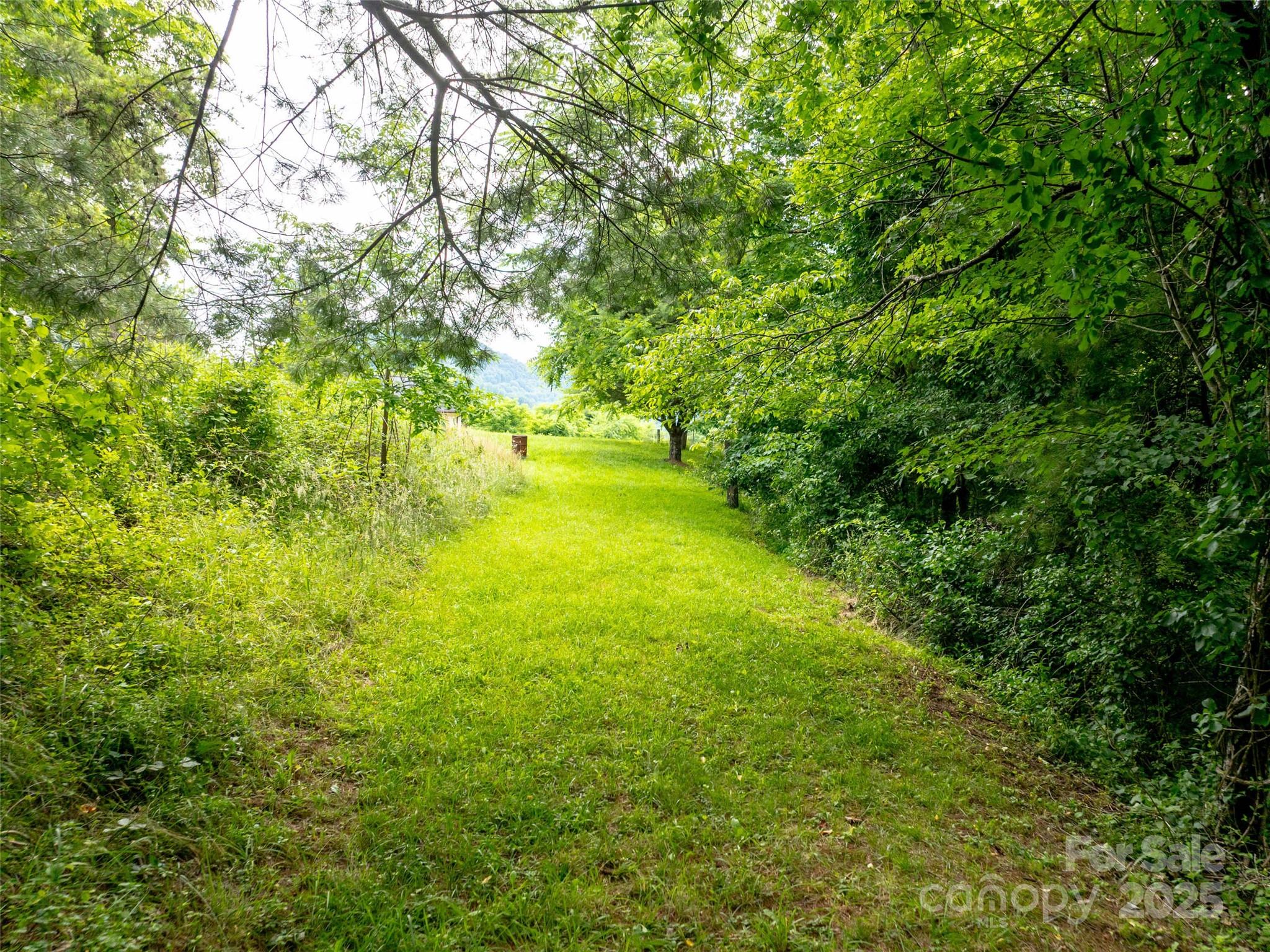 40 Sedgefield Place Clyde NC 28721