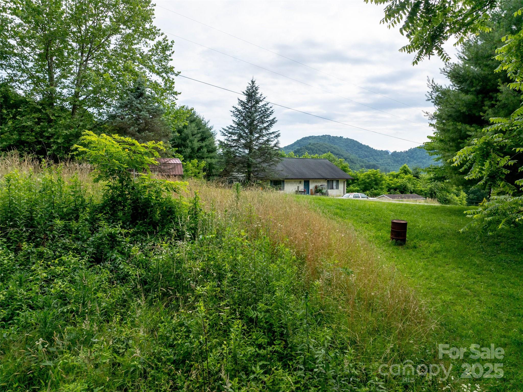 40 Sedgefield Place Clyde NC 28721