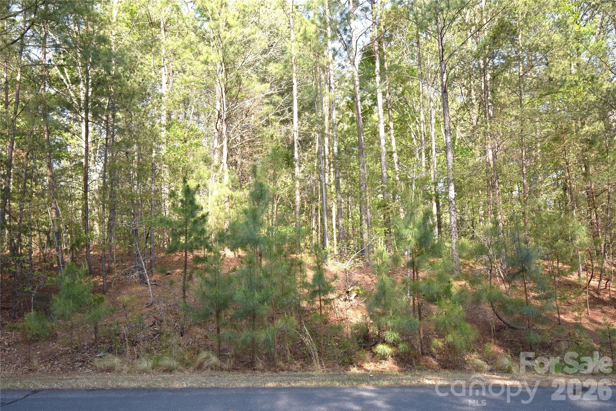 5417 Bridgewater Drive Granite Falls NC 28630