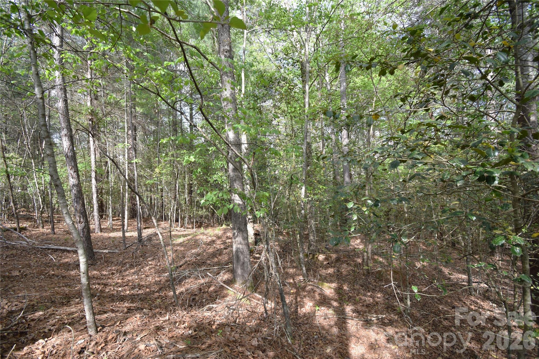 5417 Bridgewater Drive Granite Falls NC 28630