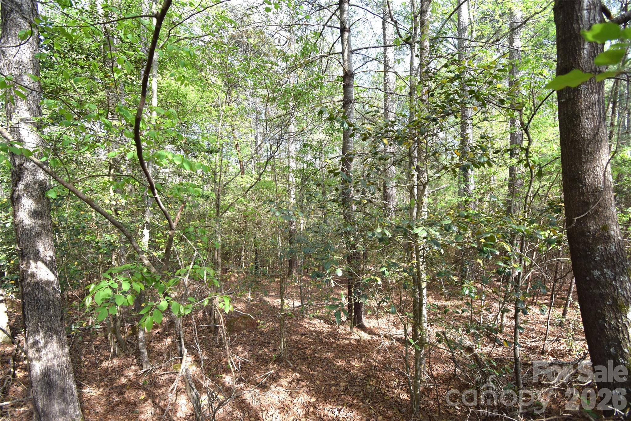 5417 Bridgewater Drive Granite Falls NC 28630