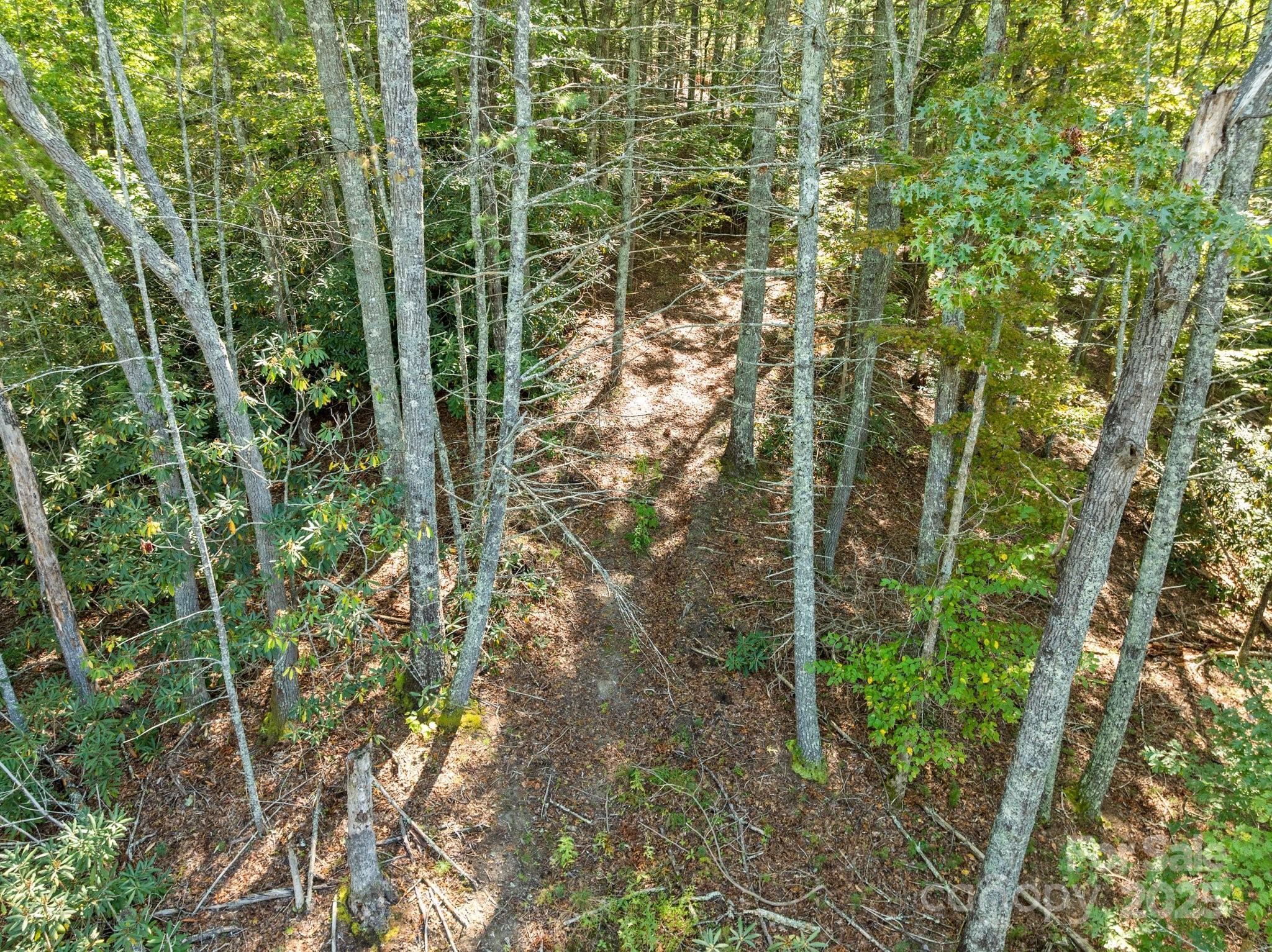 Tbd Anson G. Betts Road Marshall NC 28753