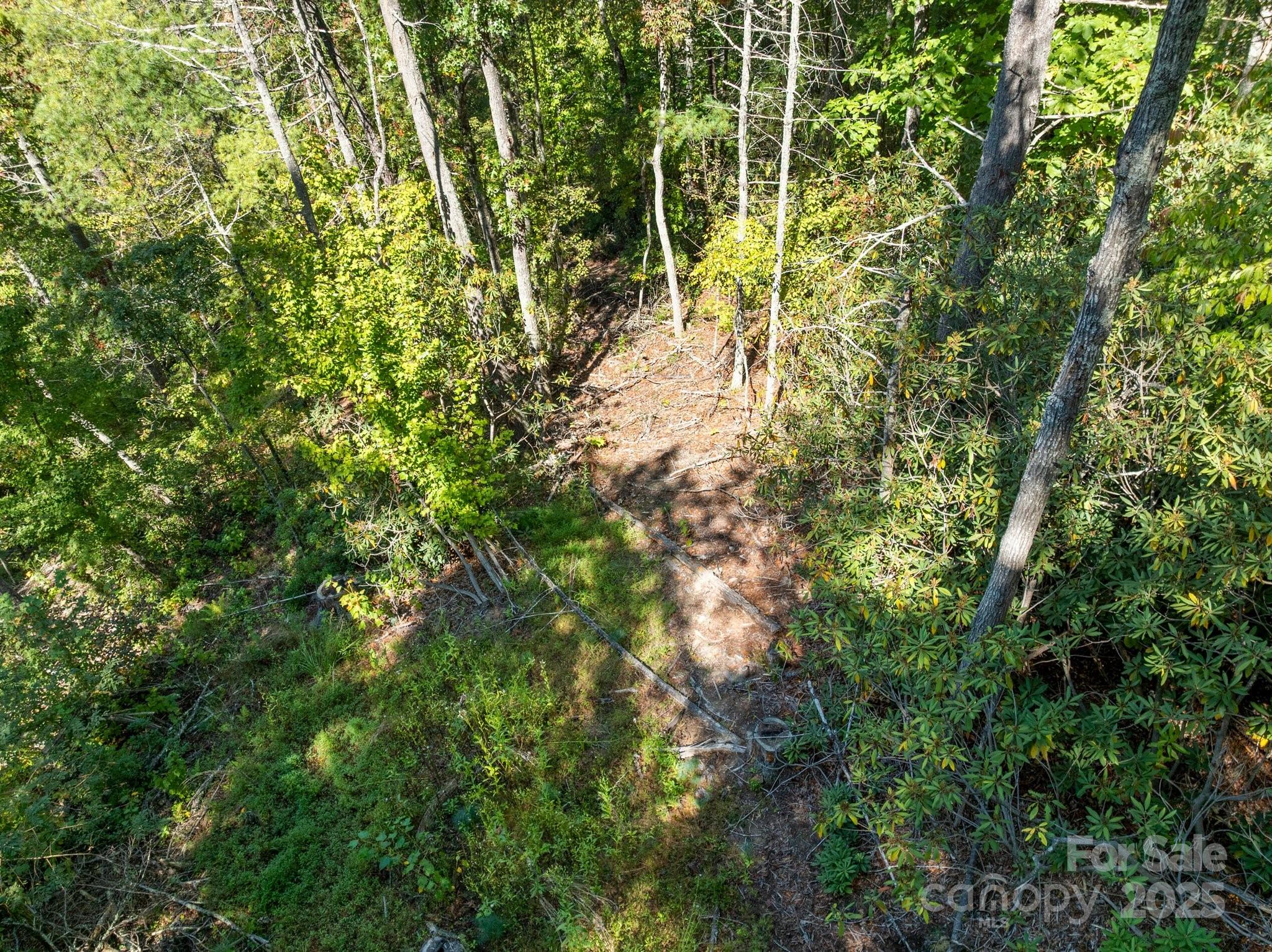 Tbd Anson G. Betts Road Marshall NC 28753