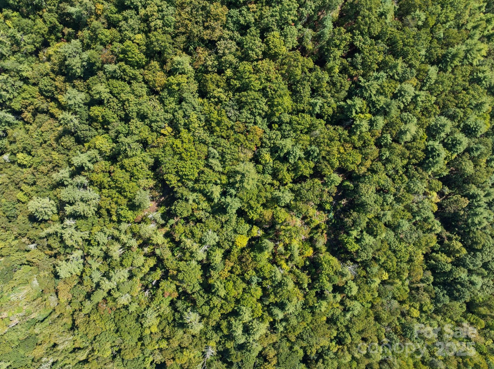 Tbd Anson G. Betts Road Marshall NC 28753