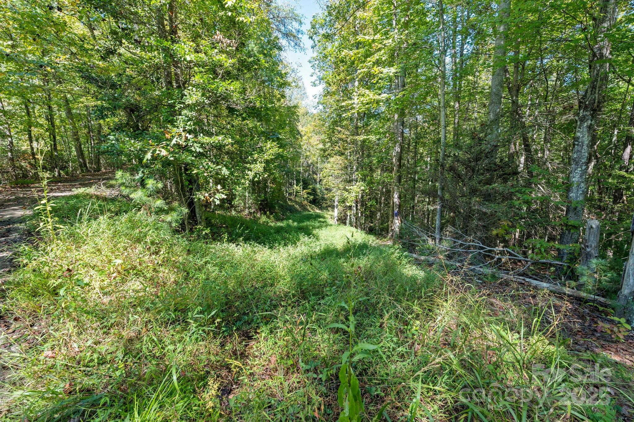 Tbd Anson G. Betts Road Marshall NC 28753