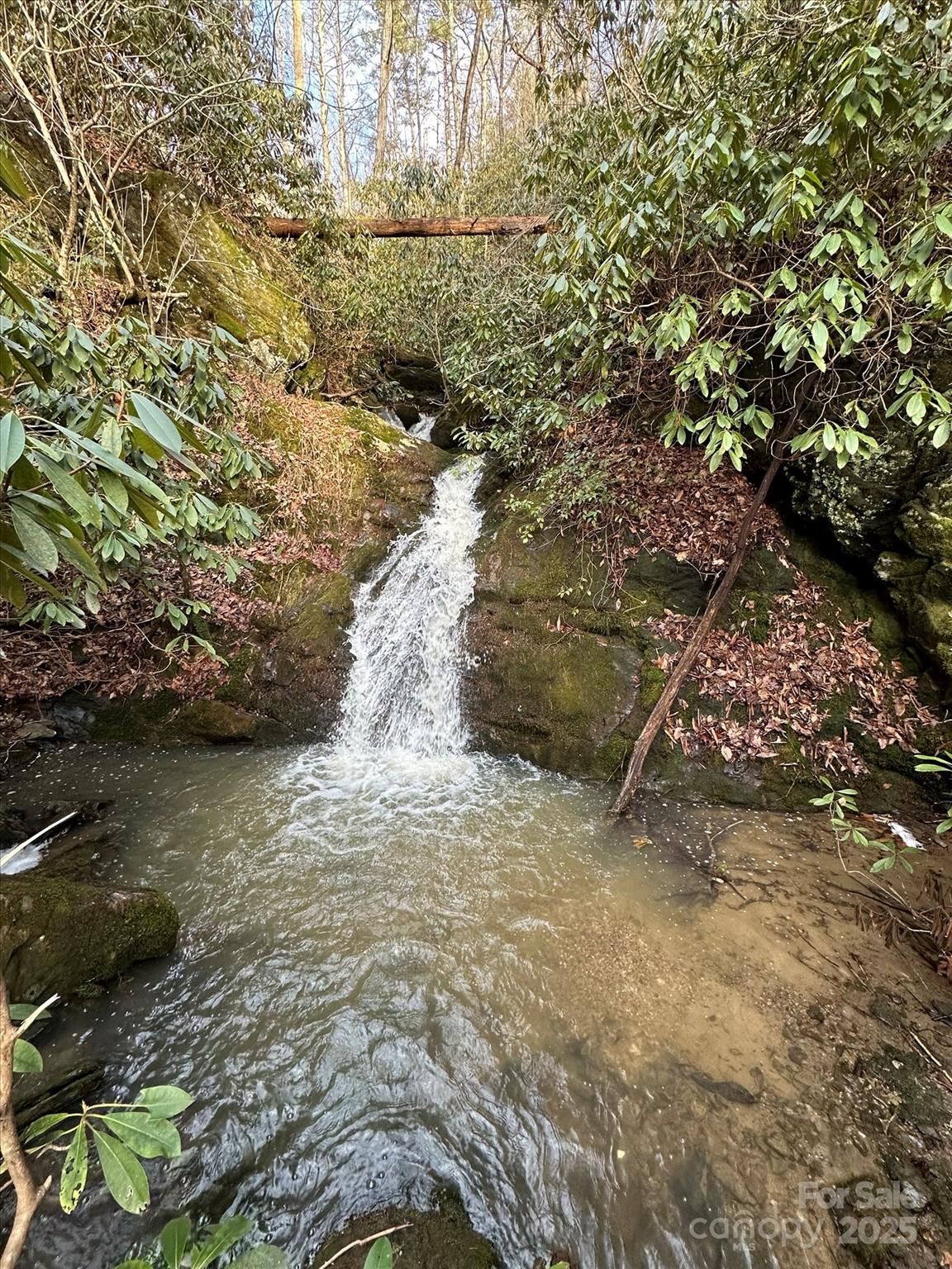 Tbd Anson G. Betts Road Marshall NC 28753