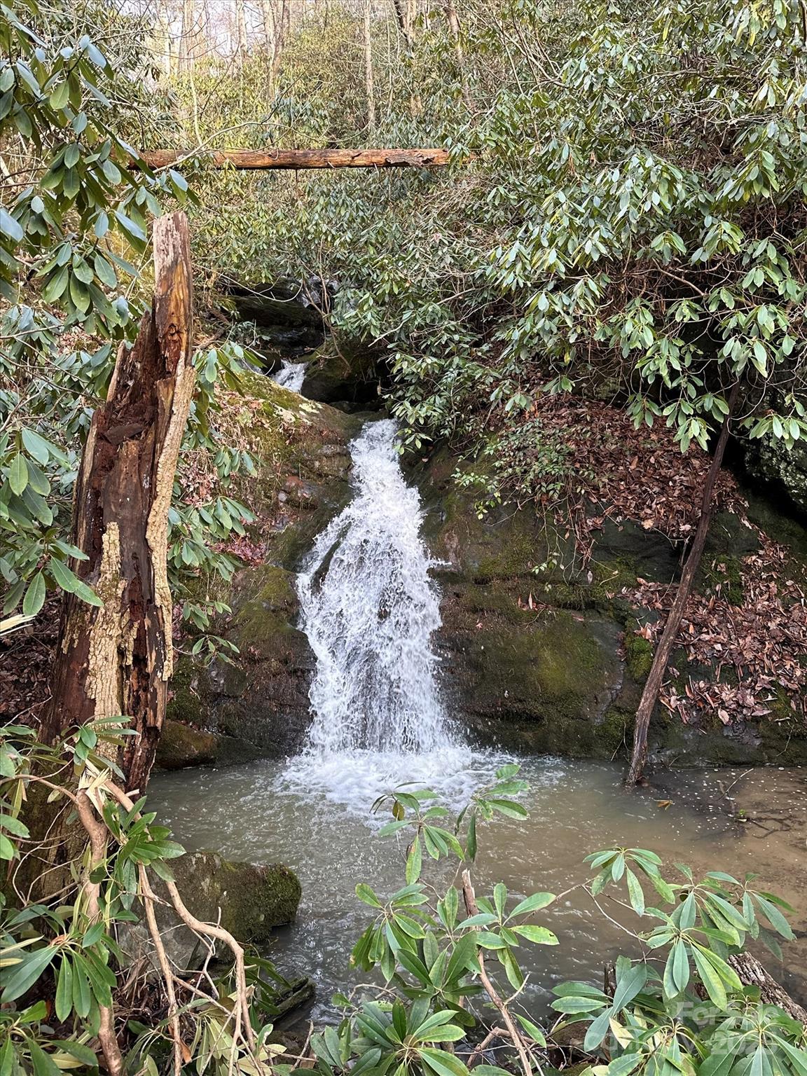 Tbd Anson G. Betts Road Marshall NC 28753