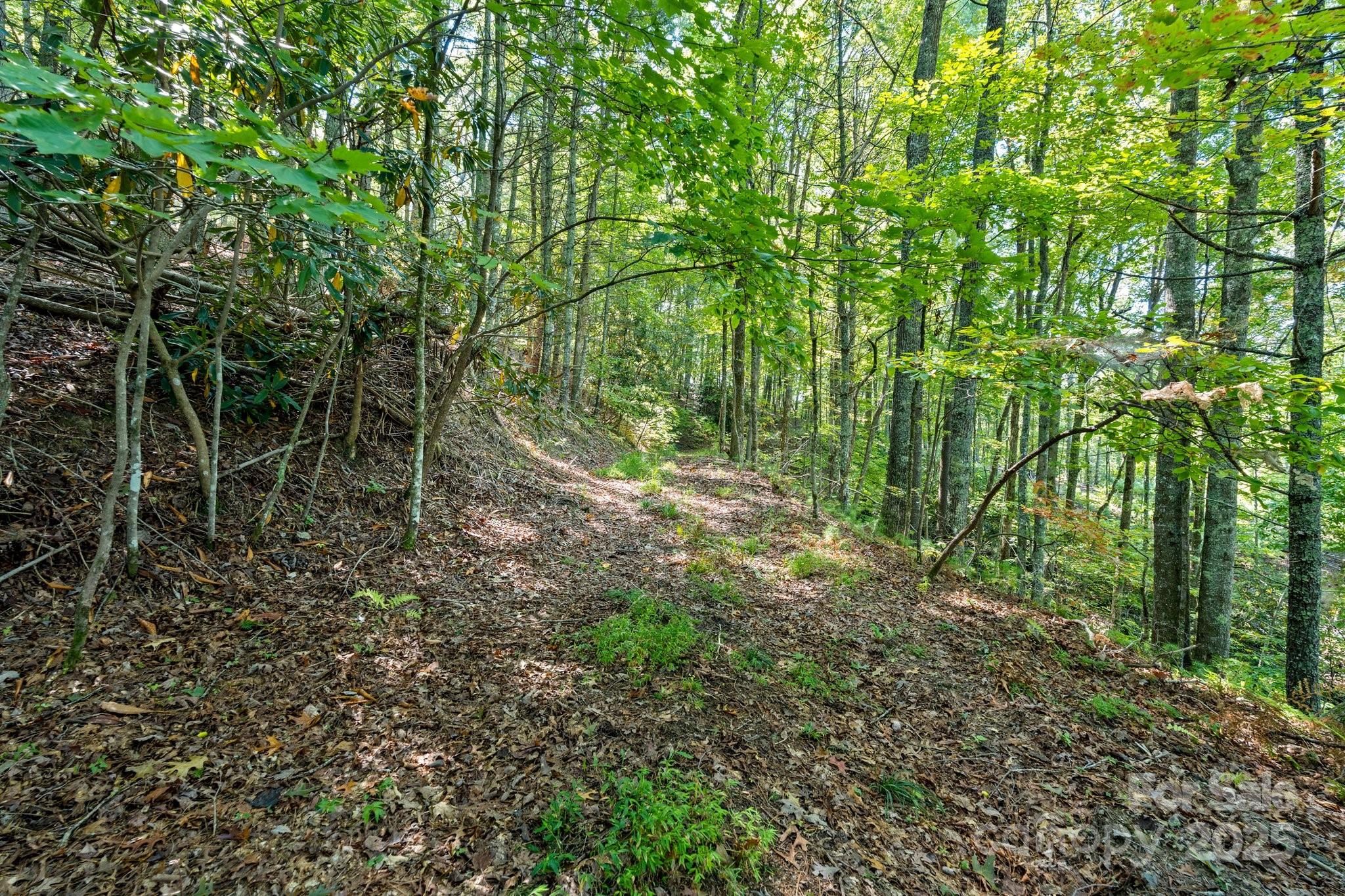 Tbd Anson G. Betts Road Marshall NC 28753