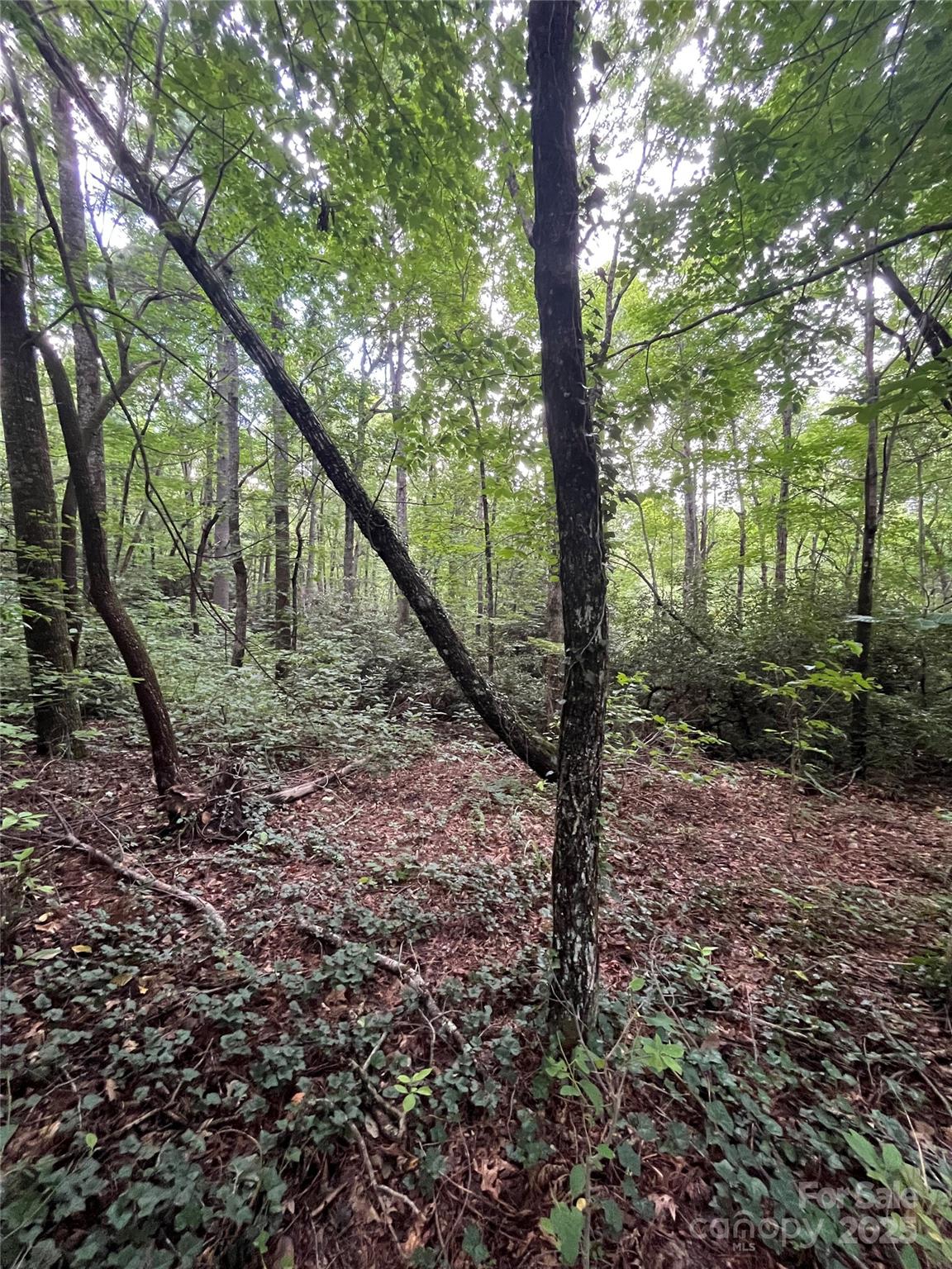 000 Greenleaf Drive Flat Rock NC 28731