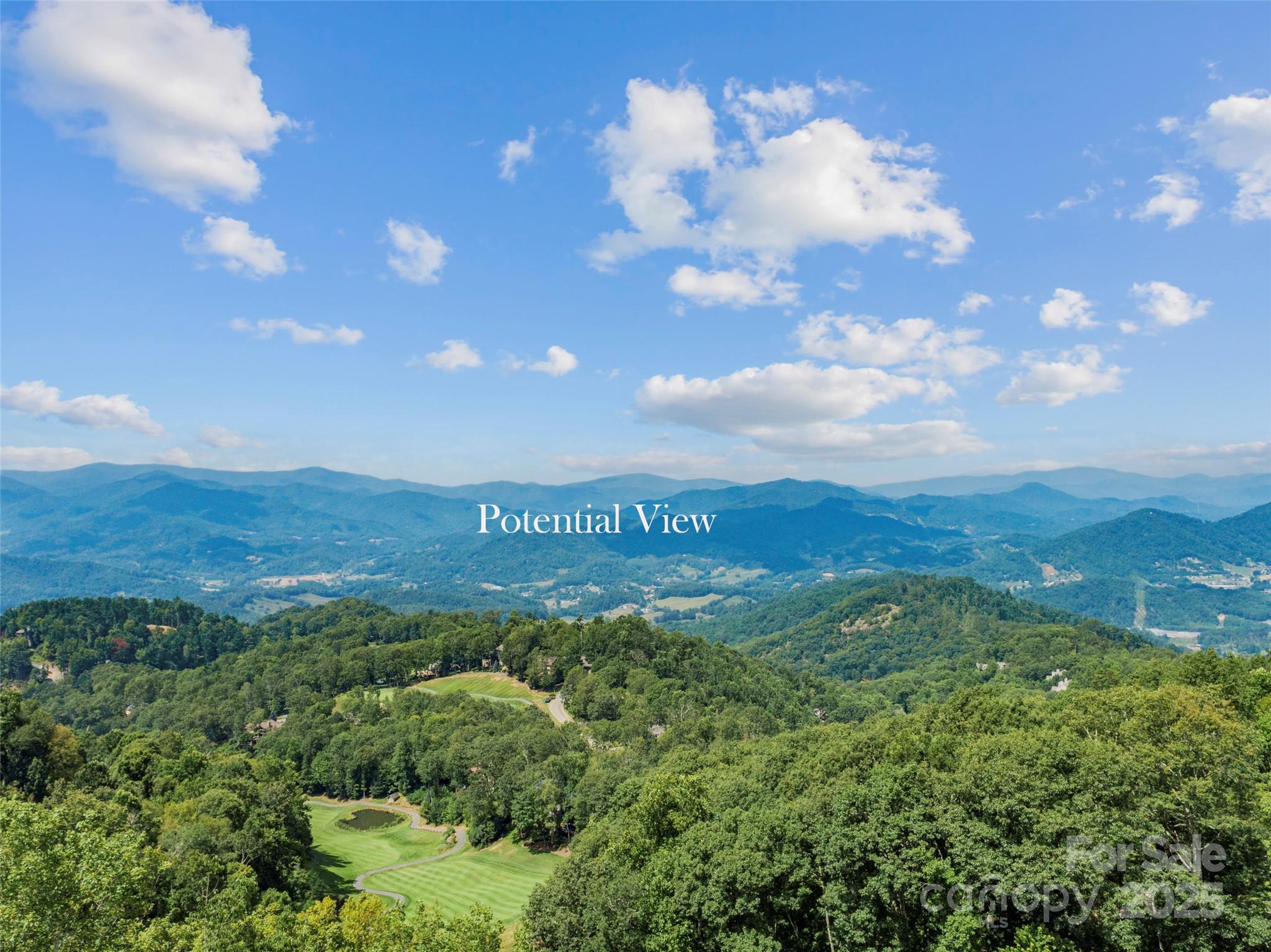 Special Parcel 1 Mountain Air Drive Burnsville NC 28714