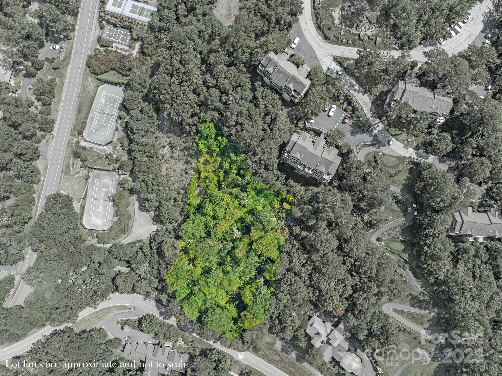 Special Parcel 1 Mountain Air Drive Burnsville NC 28714