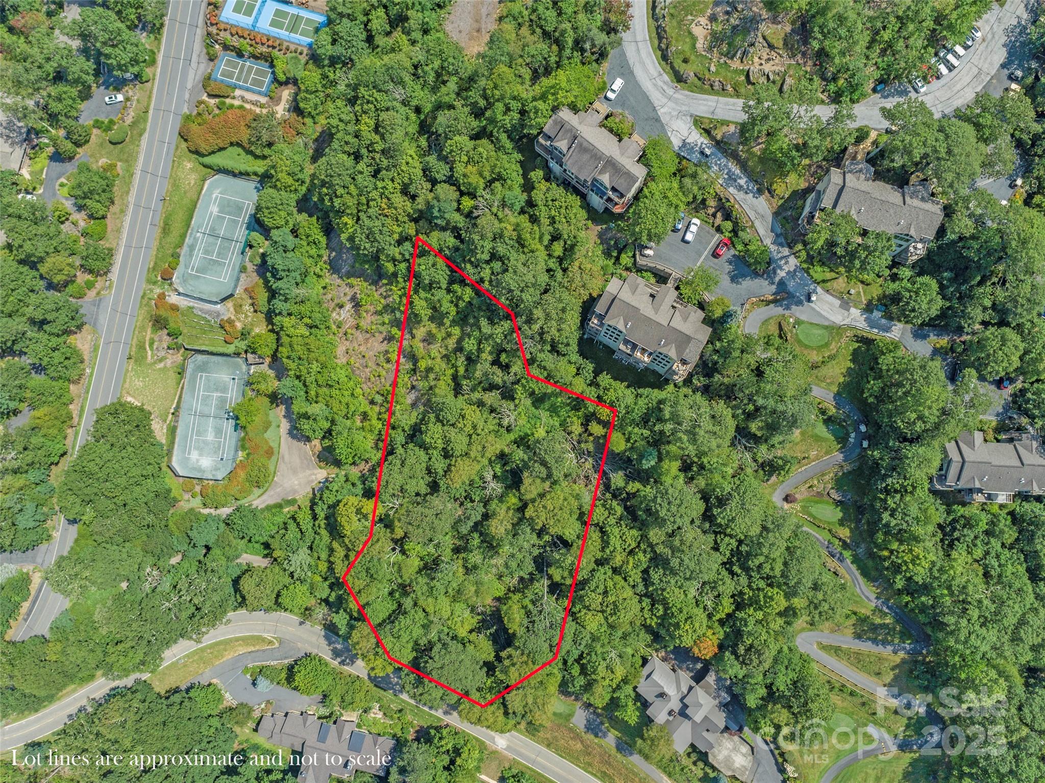 Special Parcel 1 Mountain Air Drive Burnsville NC 28714