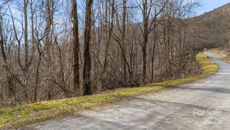 Tbd Live Oak Loop Waynesville NC 28785