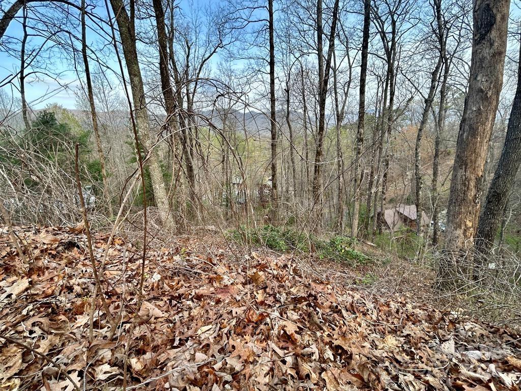 Lot 6 Biltmore Circle Bryson City NC 28713