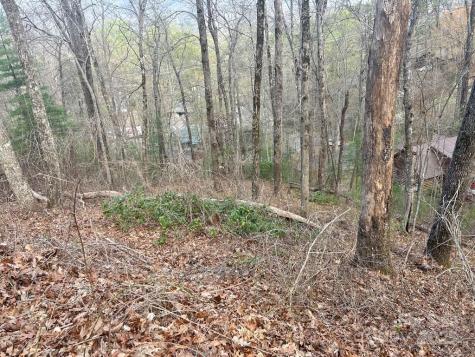 Lot 6 Biltmore Circle Bryson City NC 28713