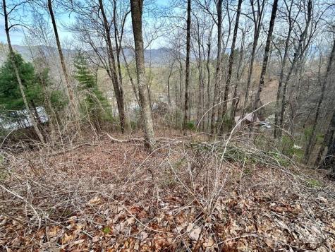 Lot 6 Biltmore Circle Bryson City NC 28713