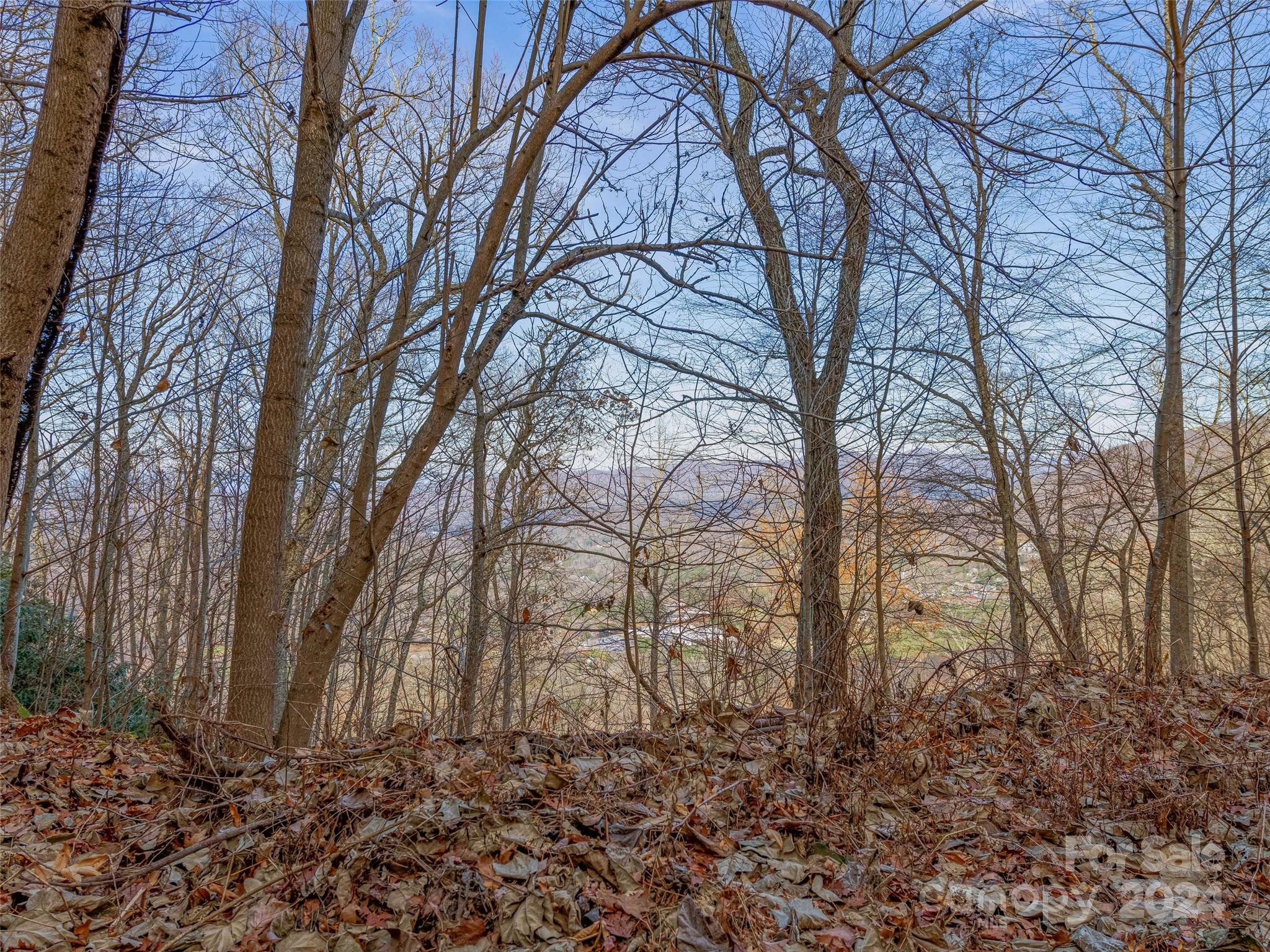 99999 Stonecrest Drive Asheville NC 28803