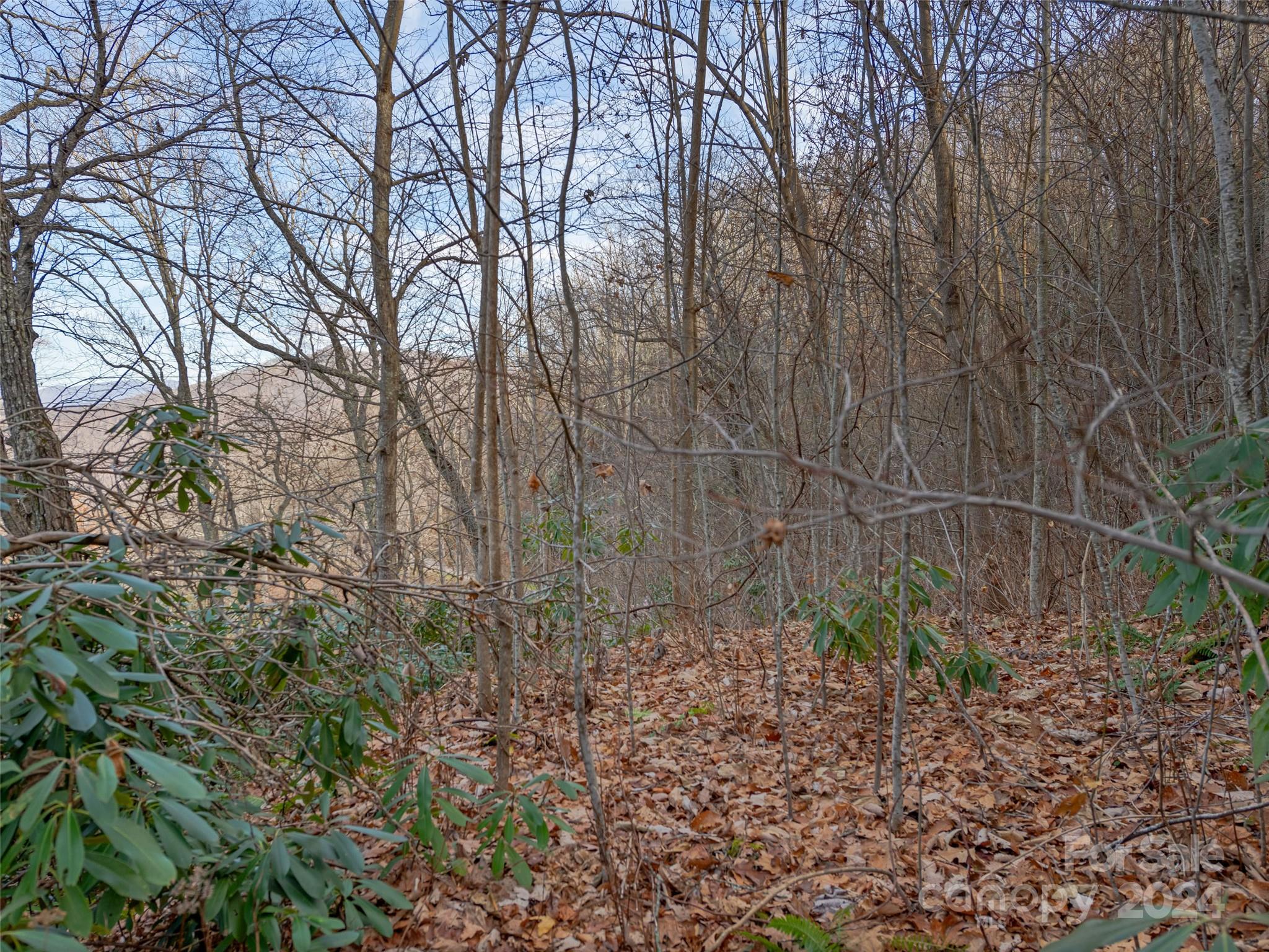 99999 Stonecrest Drive Asheville NC 28803