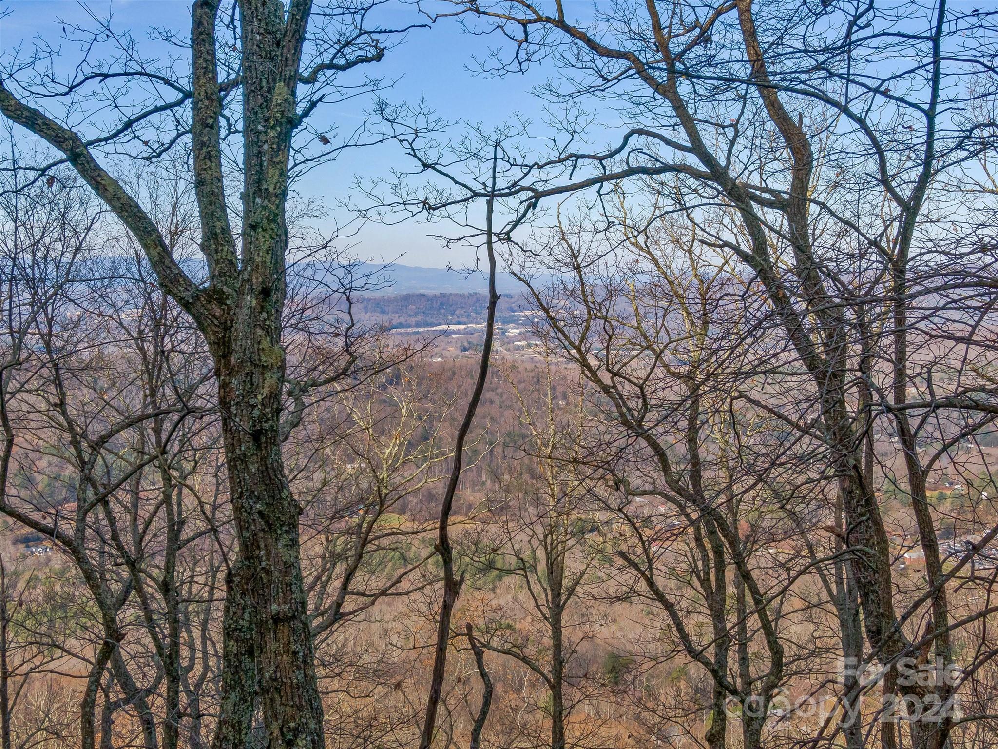99999 Stonecrest Drive Asheville NC 28803