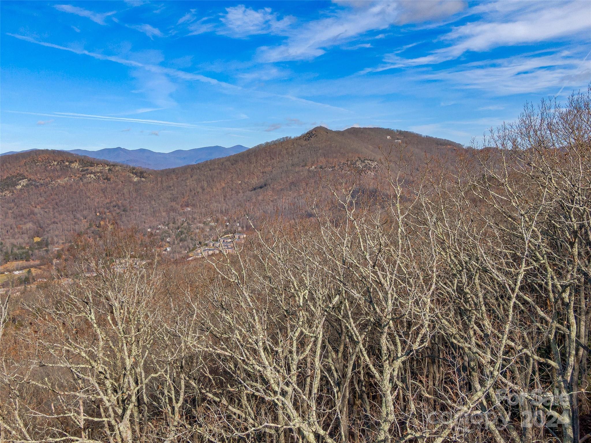 99999 Stonecrest Drive Asheville NC 28803