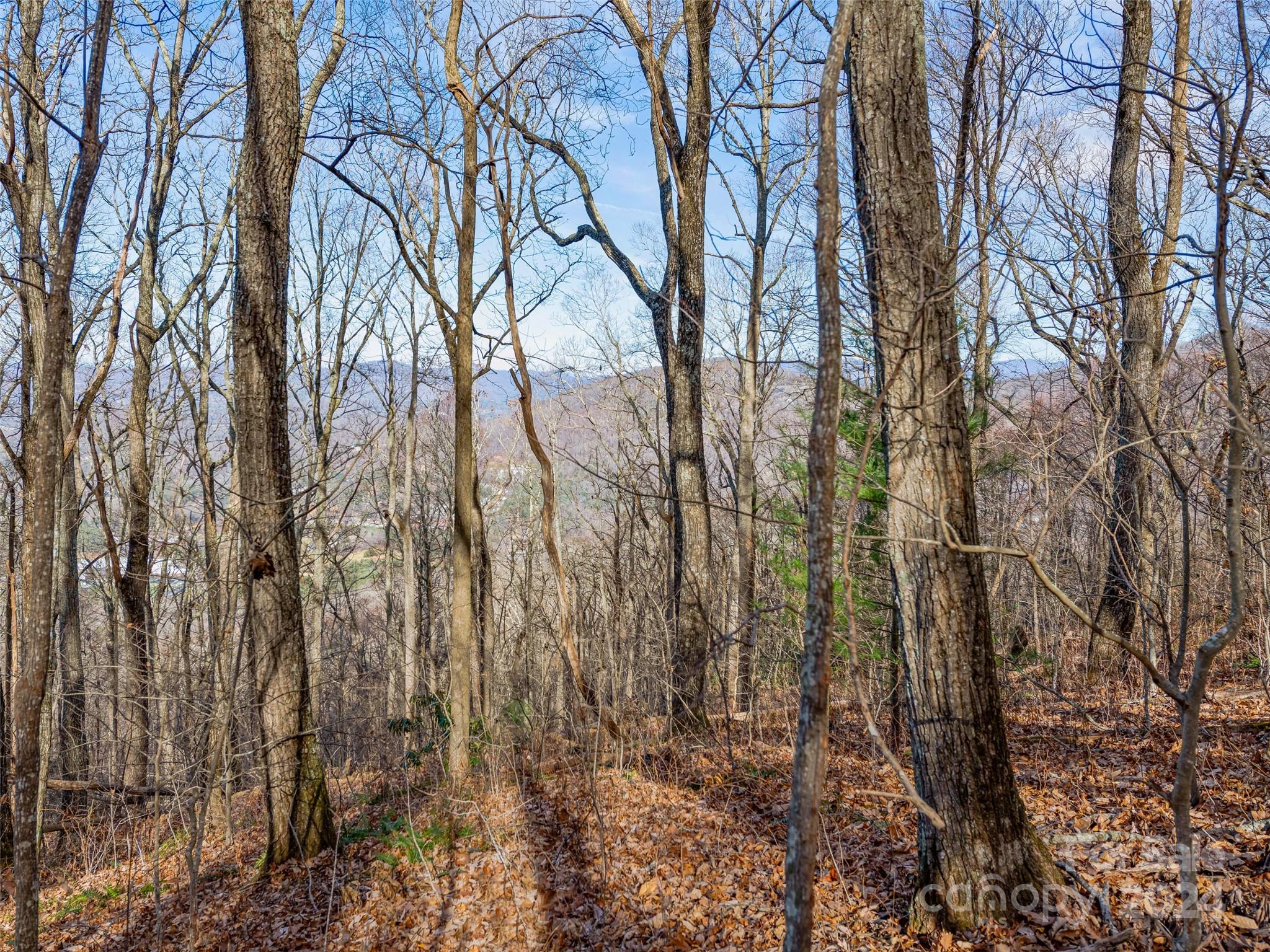 99999 Stonecrest Drive Asheville NC 28803