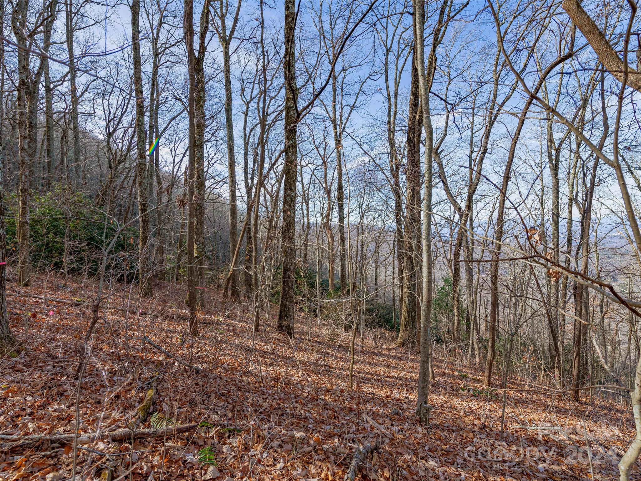 99999 Stonecrest Drive Asheville NC 28803