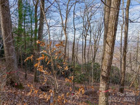99999 Stonecrest Drive Asheville NC 28803
