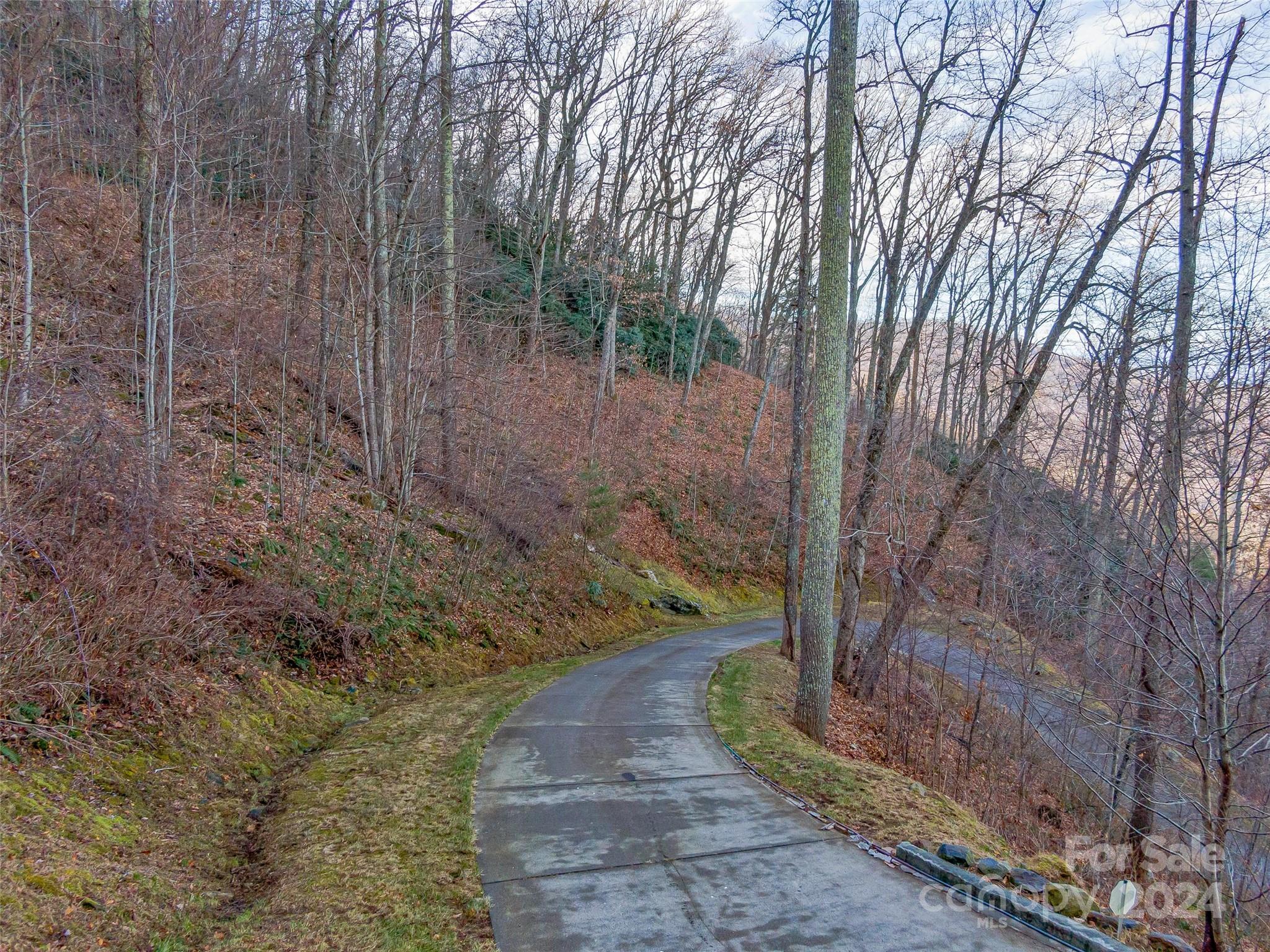 99999 Stonecrest Drive Asheville NC 28803