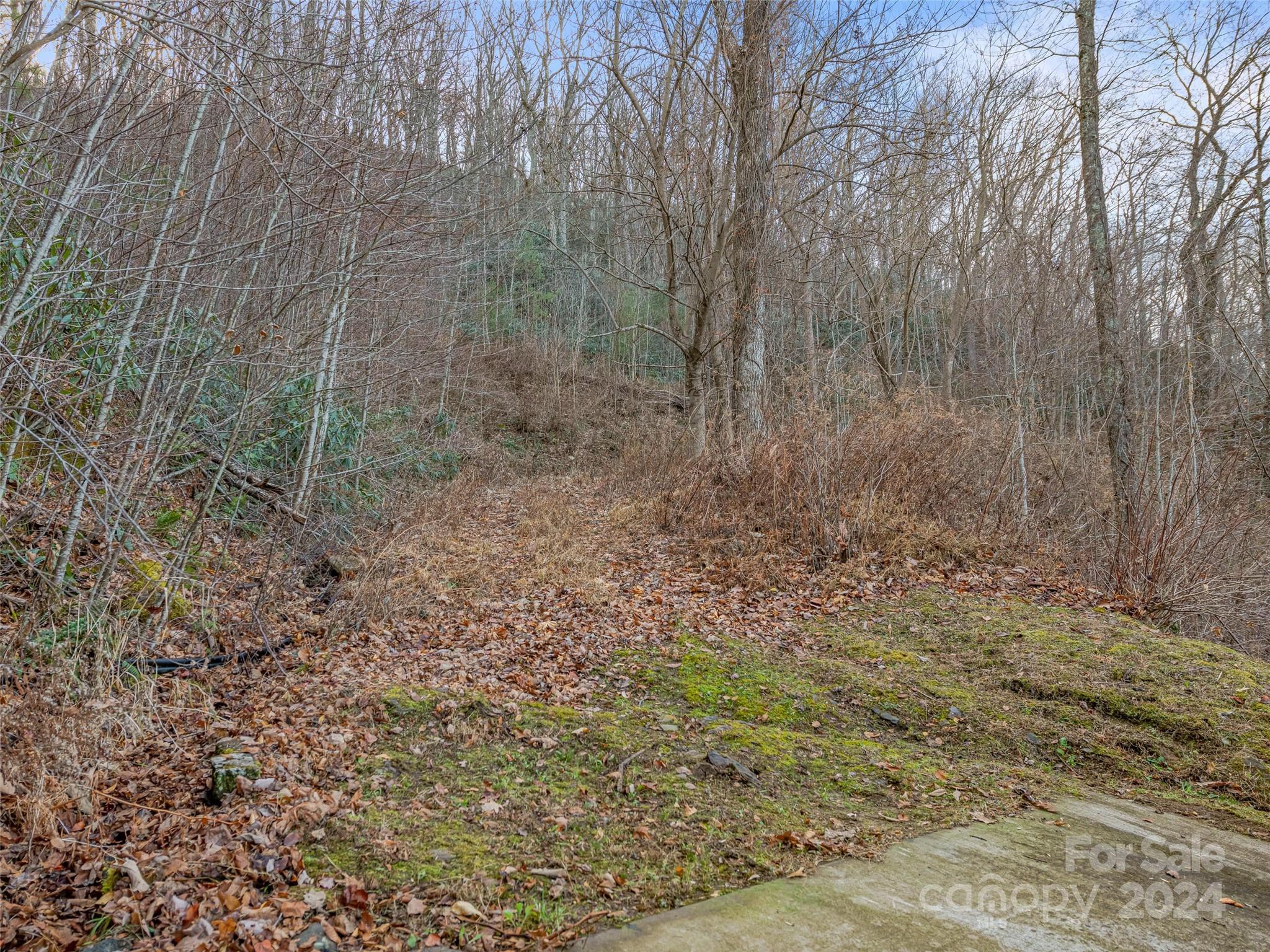 99999 Stonecrest Drive Asheville NC 28803