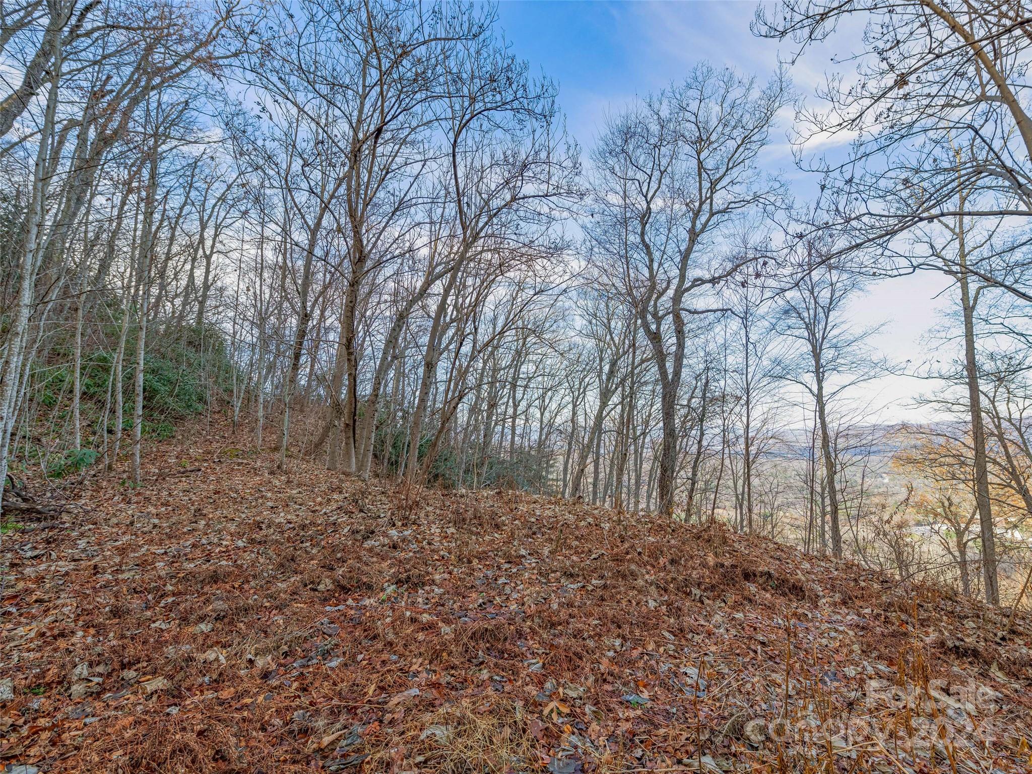 99999 Stonecrest Drive Asheville NC 28803