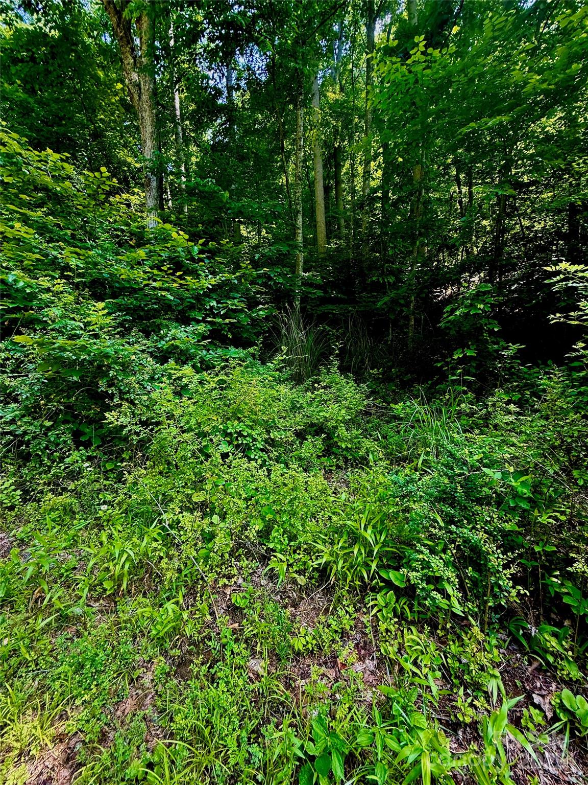 700 Wooded Mountain Trail Mars Hill NC 28754