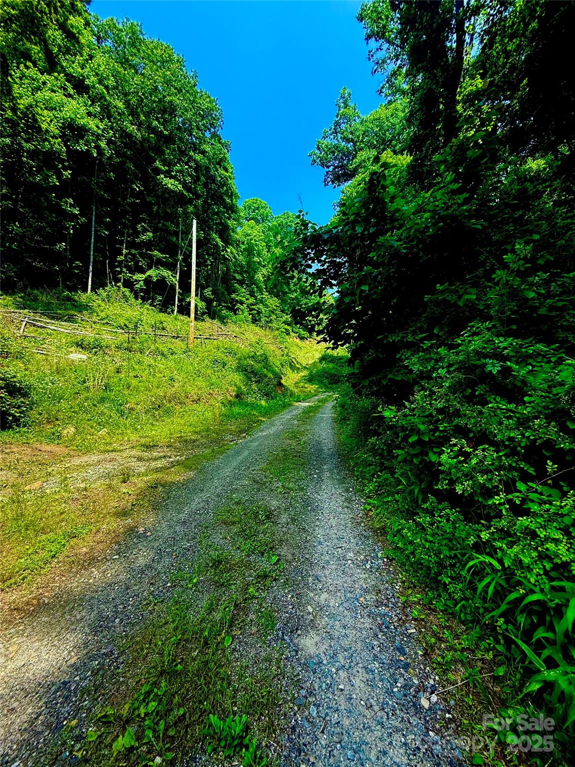 700 Wooded Mountain Trail Mars Hill NC 28754